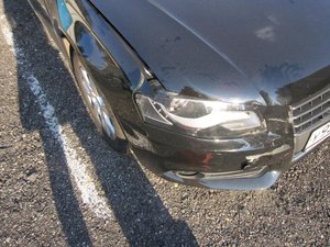 IMG_0550.jpg