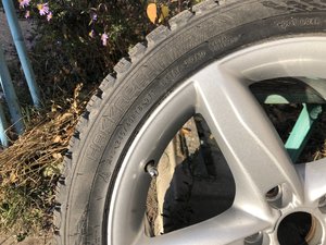 IMG_4048.JPG