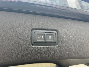 IMG_1436.jpeg