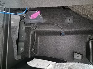 IMG_20210107_173704.jpg