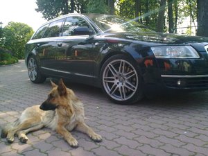 Ал0194.jpg