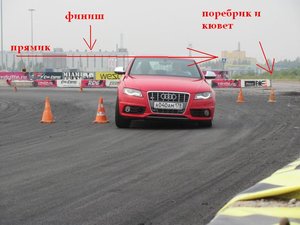 88cd06d915-large.jpg