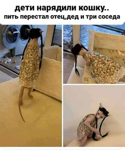 1642186759511.png