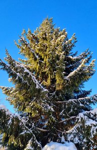 IMG-20220209-WA0005.jpg