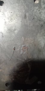 IMG_20220217_135058.jpg