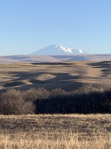 B46EB049-A7EF-4E59-8A69-7C4D54A90FCA.jpeg