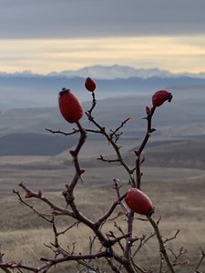 EFB681F8-A287-4A05-82AB-DF2D16C53BCA.jpeg