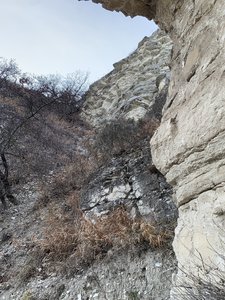 37991054-EAB4-42E9-B91C-6A380CC32308.jpeg