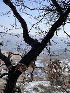 C368686B-B5B0-4839-BFC8-D4147BD6D31F.jpeg