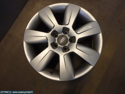 57799(1).jpg