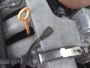 29082010240.jpg