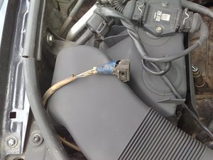 29082010241.jpg