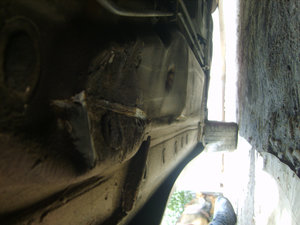 S8305007.jpg