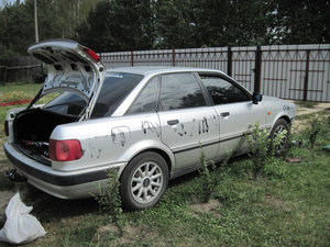 IMG_3368_1.jpg