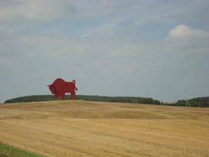 DSC03397-1.jpg