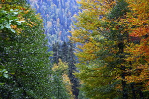 IMG_6809.1.jpg