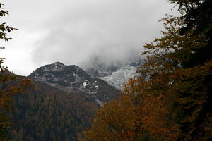 IMG_6810.1.jpg