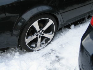 IMG_3675.JPG