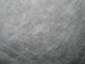 IMG_3679.JPG