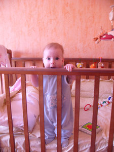 P1100411.jpg