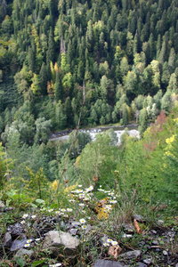 IMG_6746.1.jpg