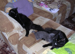 01.jpg