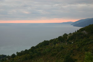 IMG_6541.1.jpg