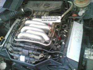 v6.JPG
