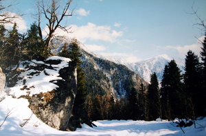 IMG_8683.1.jpg