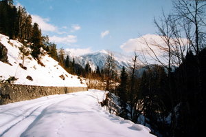 IMG_8692.1.jpg