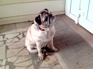 060404_131939.jpg