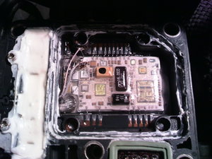 vp44 El Modul small.jpg