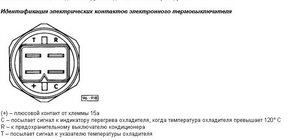 Безымянный.jpg