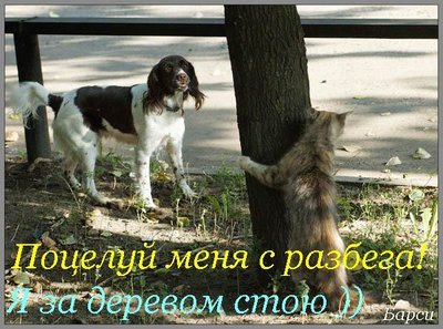 493BEF94-2A48-4C10-8D5A-7AB0970012B7.jpeg