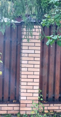 20221004_131650.jpg