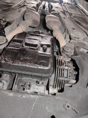 IMG_20220611_130627.jpg