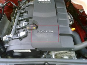 0710201003.jpg