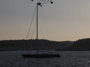 IMG_1485.JPG