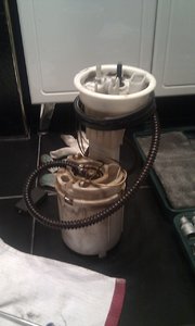 IMAG0142.jpg