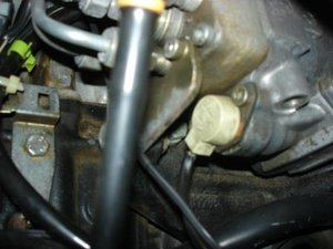 DSC03005.JPG