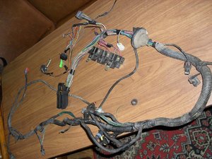 SDC10952.jpg