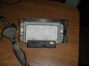 SDC10954.JPG
