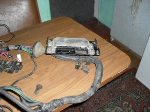 SDC10955.JPG