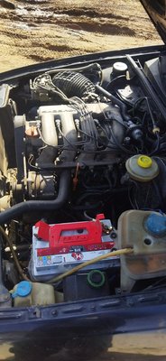 IMG_20230405_112012.jpg