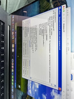 IMG_1282.jpeg