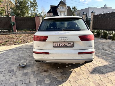 IMG_6267.jpeg