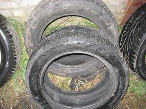 IMG_2837.jpg