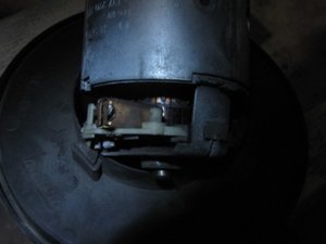 IMG_5185.JPG
