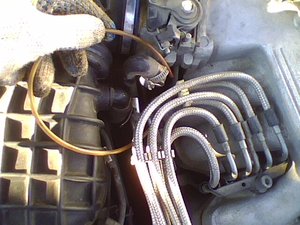 IMG0253A.jpg