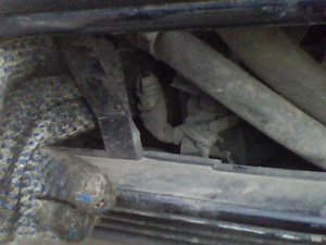 IMG0267A.jpg